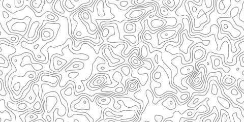 Naklejka premium Modern elevation contour line background, abstract delicate line work mapping height and terrain, for backdrop, packaging and web design.