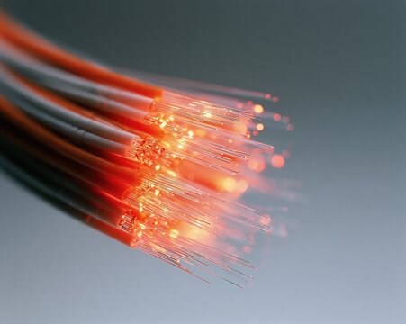 Amber Glow: Close-Up of Fiber Optic Cables