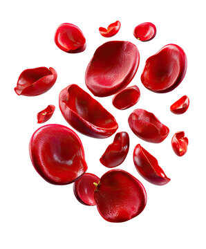 Red Blood Cells Group: A detailed illustration showcases a cluster of red blood cells, highlighted by their distinctive biconcave shape and vibrant crimson hue, floating in a conceptual space.