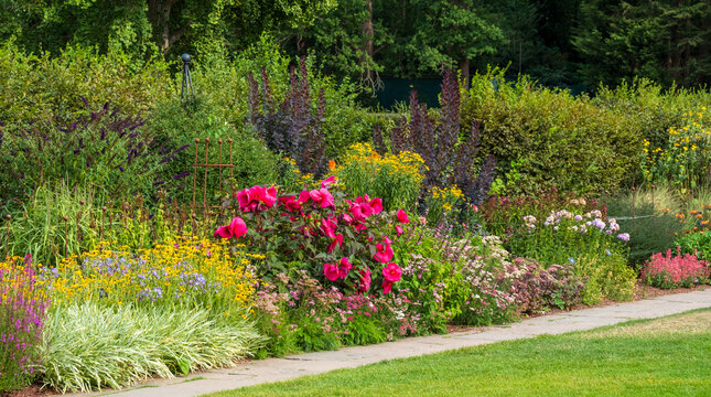 Stunning, colourful mixed flower border at Wisley garden, Surrey UK. The extensive flower beds are planted mainly wtih perennial plants.