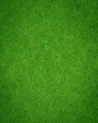 Fototapete Grün Top view of fresh green grass lawn texture, seamless natural field background for sports pitches, landscaping, parks, outdoor design and digital backdrops.  © Vector & Background