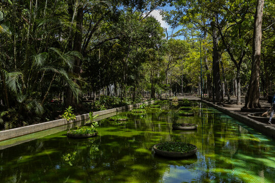 Caracas, Venezuela. Los Caobos Park. City Center
