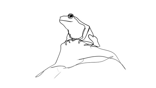 Minimalist frog sketch on white background.