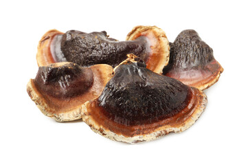 Many functional Reishi mushrooms isolated on white © New Africa