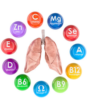 Lungs with vitamins and minerals essential for healthy lungs, transparent background.