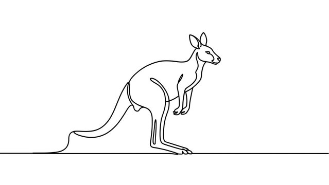 Minimalist kangaroo line art illustration white background.