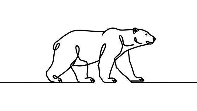 Minimalist polar bear illustration white background.