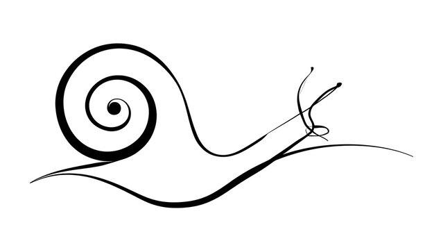 Minimalist snail illustration on white background.