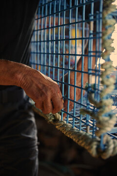 Lobster fisherman fixes rope on lobster trap in a workshop by the sea