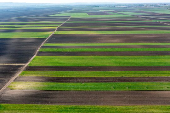 Aerial view of agricultural fields with alternating green crops and dark tilled soil patterns in Banatski Brestovac, Vojvodina, Serbia.