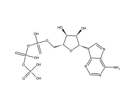 ATP (C10H16N5O13P3), complex organic chemistry molecular structure, black skeletal formula transparent