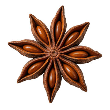 Whole Star Anise Pod Isolated on White Background