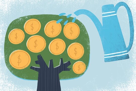Money tree illustration