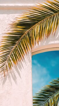 Palm leaves cast bold shadows across a sunlit white stucco wall and arched window. Vibrant blue sky reflections enhance the calm tropical resort atmosphere.