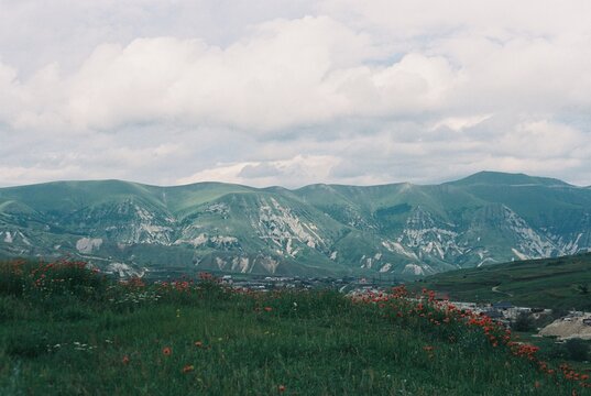 Vibrant Flowers Grace the Hills Under a Vast Cloudy Sky