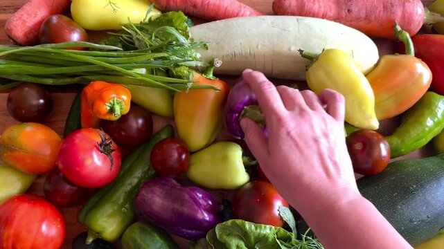 Colorful fresh garden vegetables displayed on wooden table, hand picking heirloom tomatoes and purple bell pepper from vibrant harvest collection.