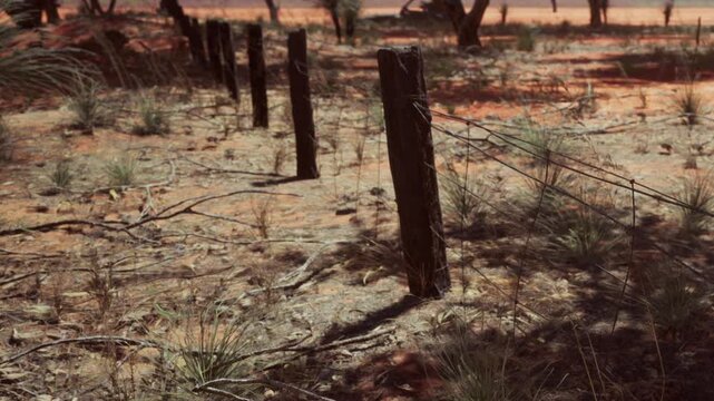 Wooden posts stand in a line supporting wire fencing on dry, cracked ground. Sparse grass and scattered leaves surround the posts. The scene suggests a rural and arid environment with few trees.