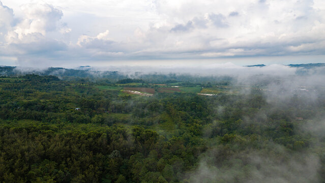 Aerial view of the lush green landscape of Don Salvador Benedicto, with mist rolling over the dense forest canopy under a cloudy sky in Pontevedra, Western Visayas, Philippines.