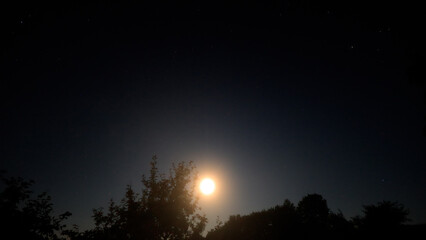 Moon on a night sky with nature silhouettes. © astrosystem