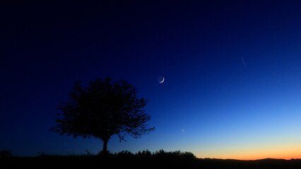 Moon on a twilight sky with stars, planets and landscape mountain silhouettes. © astrosystem