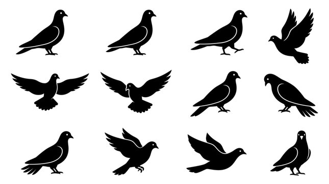Black pigeon silhouette set showing flying and standing bird poses
