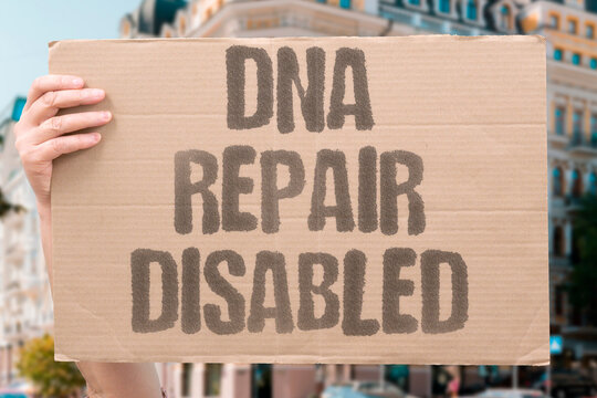 "DNA Repair Disabled" Interfere with cancer cell genome maintenance. REPAIR. DISABLE. DNA. GENOME. SENSITIZE.