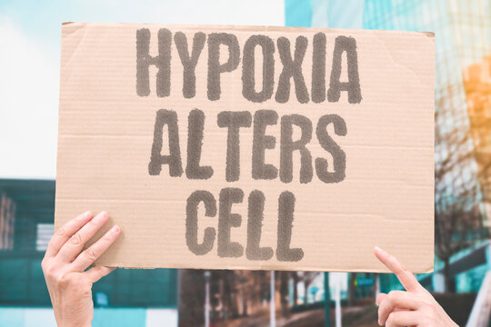 "Hypoxia Alters Cell" Show how low oxygen changes tumor behavior. HYPOXIA. OXYGEN. ADAPTATION. METABOLISM. AGGRESSIVE.