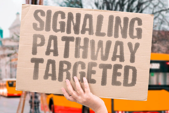 "Signaling Pathway Targeted" Directly interfere with a specific growth-related molecular route. TARGET. PATHWAY. MOLECULE. INTERFERE. TRANSMISSION.