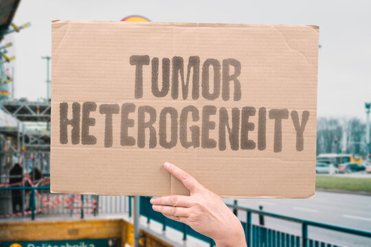 "Tumor Heterogeneity" Different cells within a cancer have different properties. HETEROGENEITY. CLONAL. DIVERSITY. EVOLUTION. RESISTANCE.
