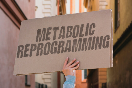 "Metabolic Reprogramming" Cancer cells change how they use energy. METABOLISM. GLUCOSE. LACTATE. OXPHOS. WARBURG.