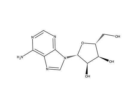 Adenosine (C10H13N5O4), complex organic chemistry molecular structure, black skeletal formula transparent