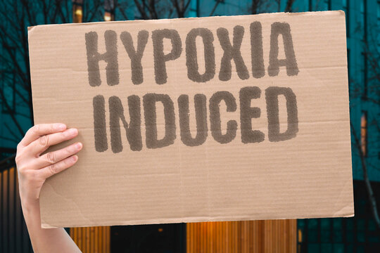 "Hypoxia Induced" Create low-oxygen conditions to mimic a tumor. OXYGEN. TUMOR. MICROENVIRONMENT. ADAPTATION. STRESS.
