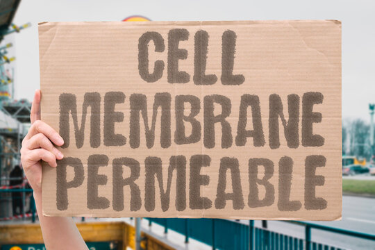 "Cell Membrane Permeable" Measure a compound's ability to enter cells. PERMEABILITY. UPTAKE. PASSIVE. TRANSPORT. ABSORPTION.