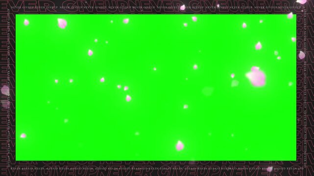 Petals falling gently inside a decorative dark frame are set against a vibrant green screen background to provide an elegant and artistic overlay for springtime themes or romantic media projects.