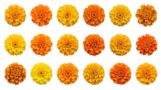 Colorful flower icons in a grid pattern