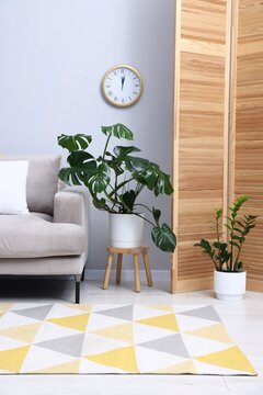 Cozy room interior with folding screen, sofa and houseplants