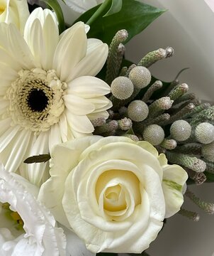 Fresh daisy, brunia and rose flowers close up