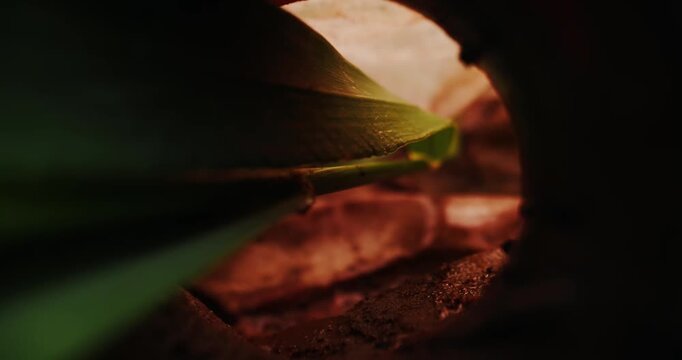 Slow motion close up of broken clay pot nestled in green grass on ground in garden.