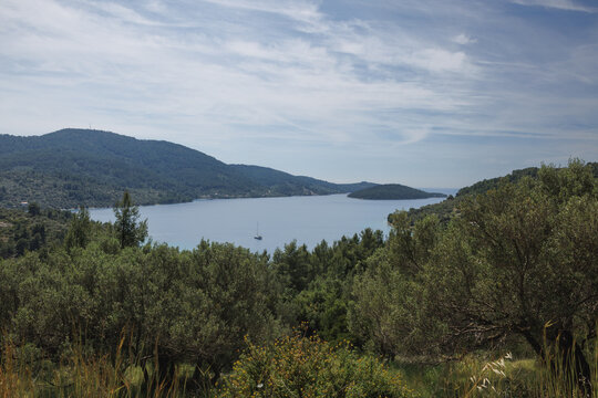 Scenic Mediterranean landscape with olive trees, blue bay and green hills in Vela Luka on Korcula island, Croatia