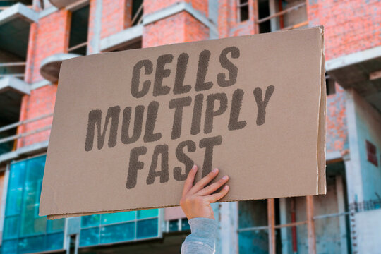 "Cells Multiply Fast" Malignant proliferation outpaces normal tissue. PROLIFERATION. RAPID. KINETICS. AGGRESSIVE. MITOSIS.