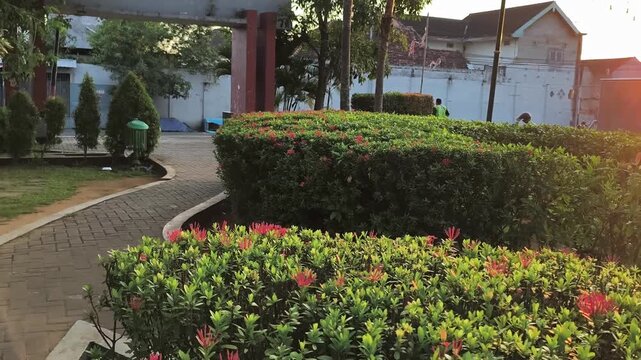 Public park with manicured green hedges and red flowers in warm sunset light