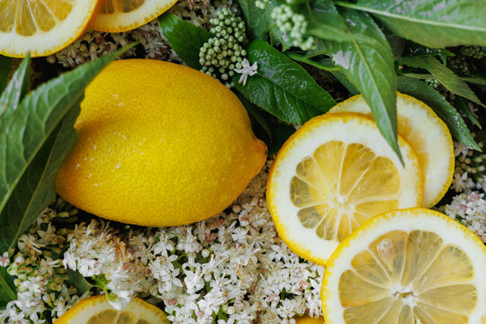 Decorative arrangement of lemons and elderflowers symbolizing traditional fermentation, homemade elderflower champagne, natural ingredients and sustainable food culture