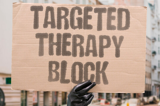 "Targeted Therapy Block" Precision medicine inhibits specific pathways. PRECISION. INHIBITION. MOLECULAR. PATHWAY. DRUG.