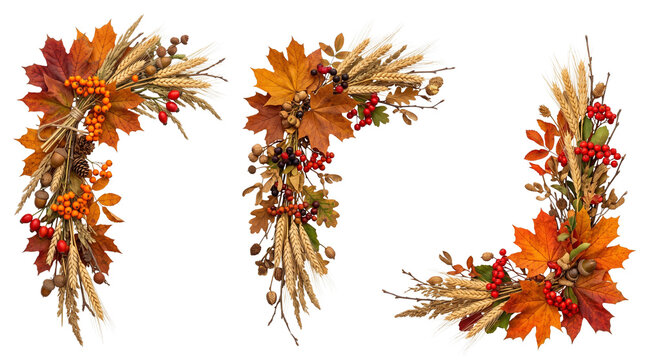 Autumn harvest corner elements isolated on white background, elegant seasonal borders for Thanksgiving and fall designs.