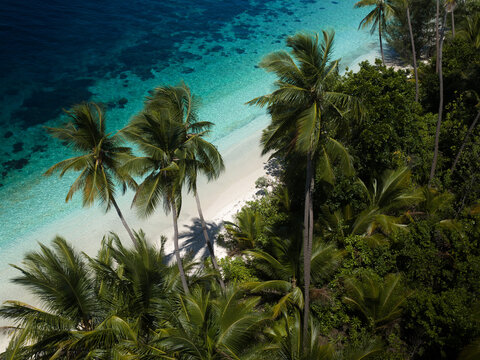 Aerial view of Pasir Panjang beach with lush palm trees, white sand, and turquoise water in Banggai Laut Regency, Central Sulawesi, Indonesia.