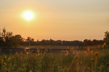 Naklejka premium Golden sunrise over rural fields with railroad tracks silhouetted against a bright morning sky.