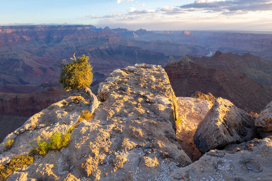 Morning at the Grand Canyon 
