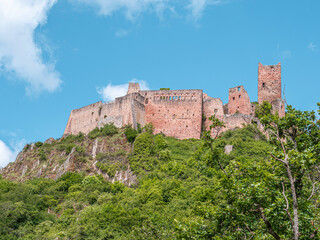 Medieval red sandstone castle ruins on a green hill under a blue sky © Gennadi