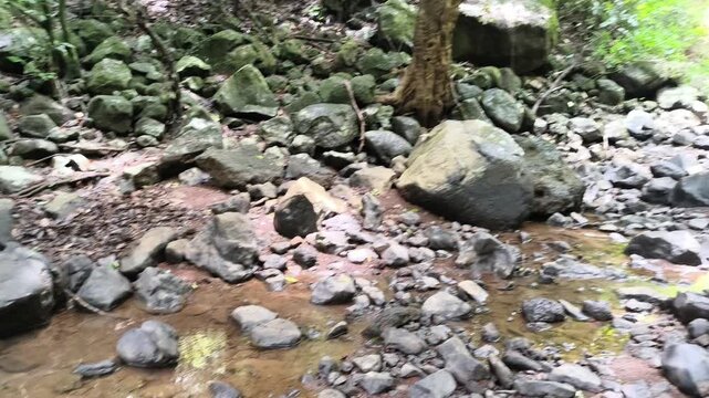 Extreme close-up of rocky streambed with detailed stone textures and shallow water. Intimate macro view of aquatic environment showing geological formations and water dynamics. Specialized footage for