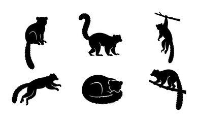 Lemur Silhouettes Collection, Primate Wildlife Vector Icons, Tropical Animal Poses, Madagascar Fauna Graphics